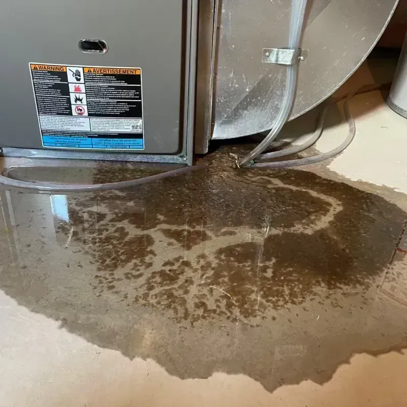 Appliance Leak Cleanup in Colchester, IL